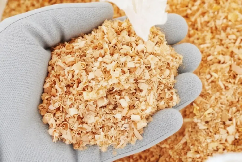 S pilinami k úsporám: 5 důvodů, proč je nevyhazovat