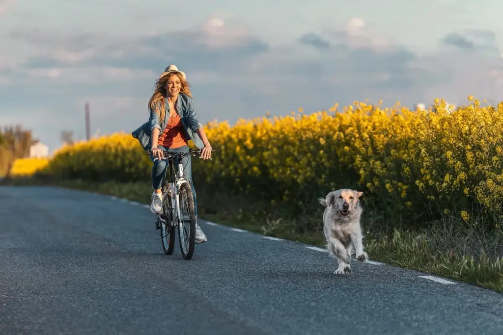 Švédsko zvažuje novou bezpečnostní normu: Kolik místa musíte nechat cyklistům?
