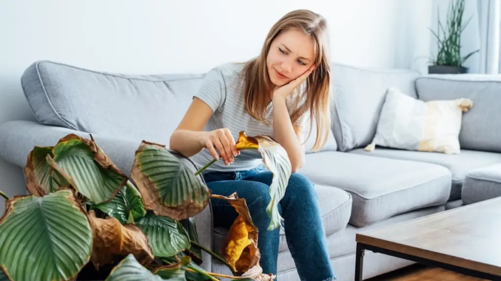 4 znepokojivé známky, že váš domov energeticky chřadne – a jak mu vrátit sílu