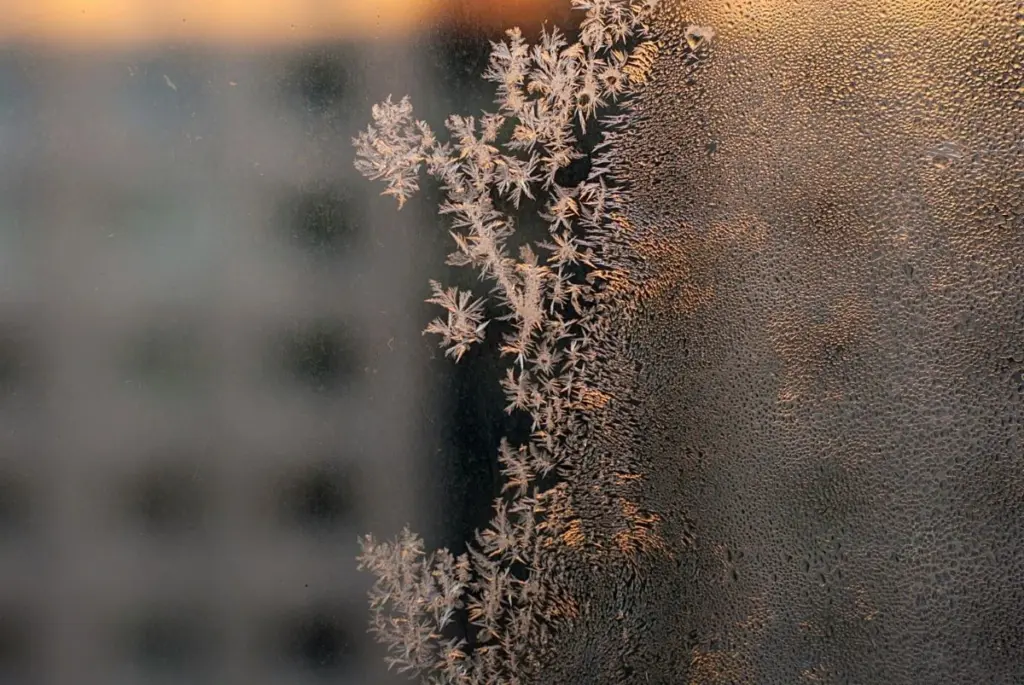 Arktický masakr v Litvě: Rekordní mráz -32,9 °C láme dějiny, jak se vyhnout vážným následkům
