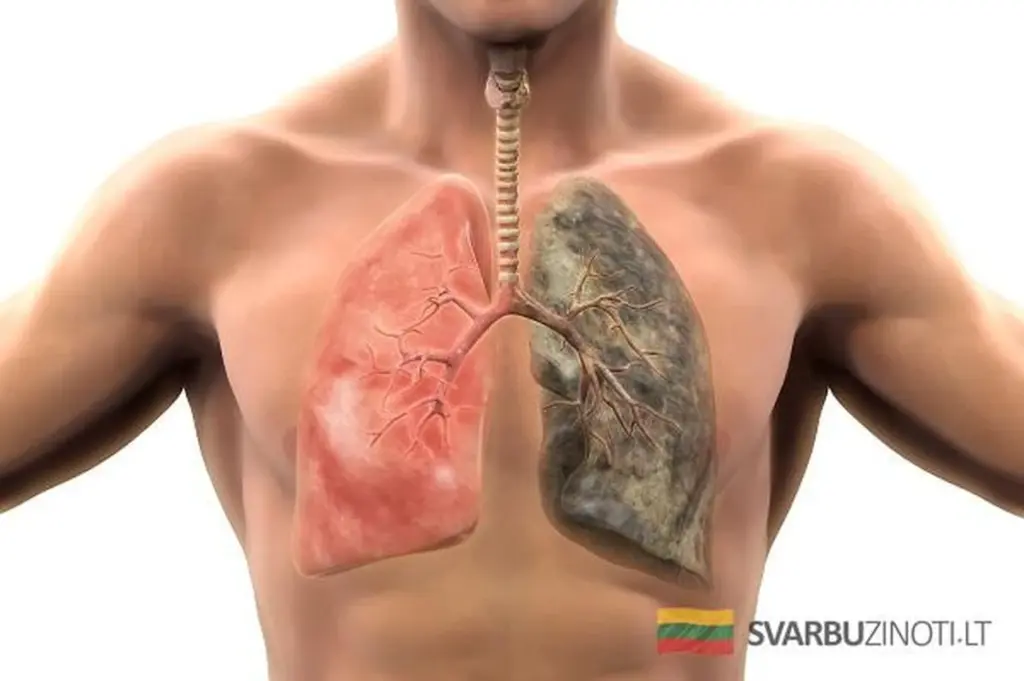 Co vaše tělo zažije po poslední cigaretě: Změny, na které nebudete věřit