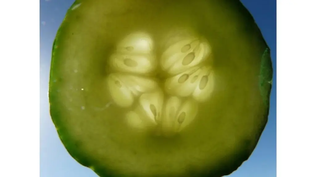 Jak zavařit zrcadla okurkami: Kdyby mi někdo o tomhle triku řekl dřív, dlouho bychom se smáli. Skutečně to funguje!