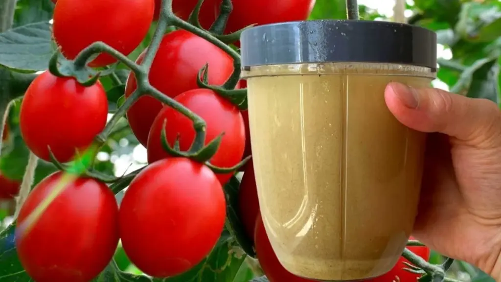 Křestní máma kupuje droždží po deseti baleních – když vysvětlila proč, pochopila jsem svou chybu