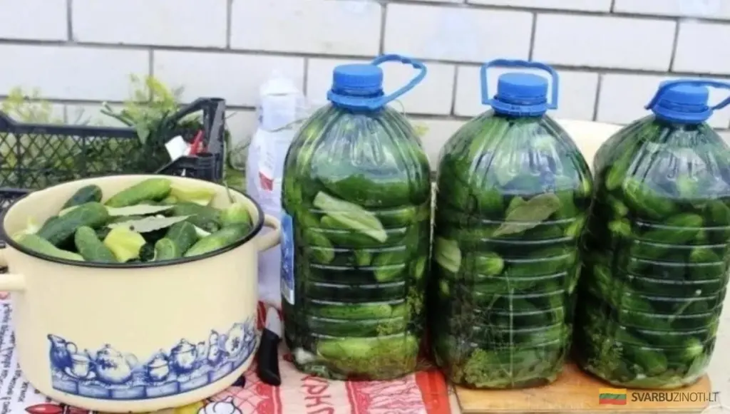 Křupavé okurky jako od babičky: tajný recept z časů bez octa