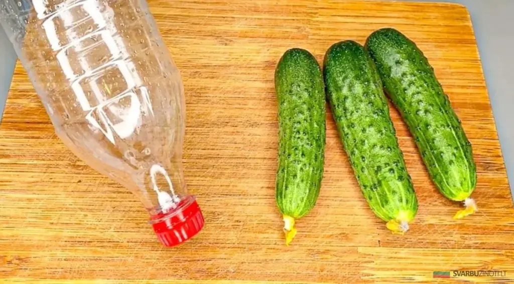 Nakládané okurky v lahvi: Jednoduchý recept, který vám změní pohled na chuť