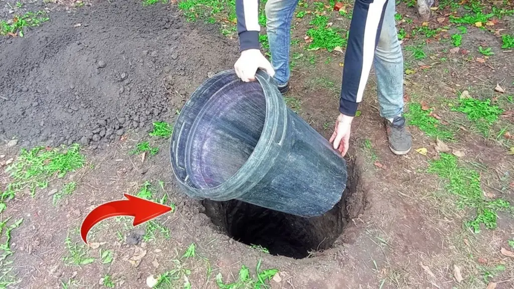 Po zemí jsem pohřbil plastový sud a získal lednici bez elektřiny: trik mé babičky, který jsem objevil před lety