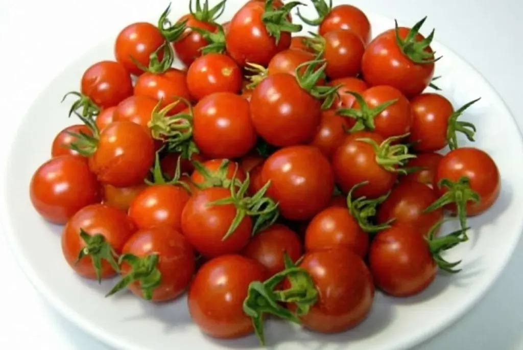 Cherry rajčata vs. běžná: Zjištění, které změní váš pohled na zdravé stravování