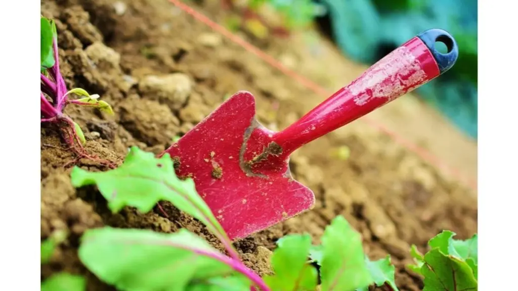 Dva roky jsem zahradničil bez této směsi – agronom mi ukázal, kde jsem 20 let chyboval
