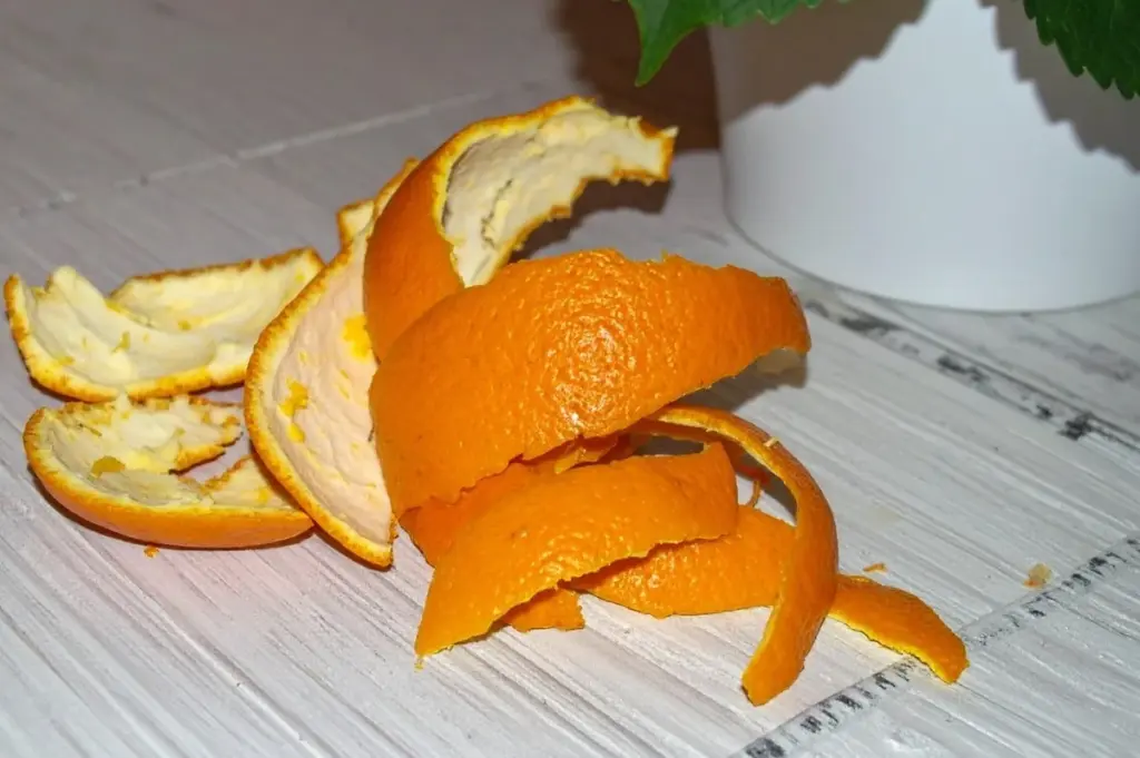 Jak z citrusových slupek vyrobit hnojivo pro hortenzie: zimní příprava