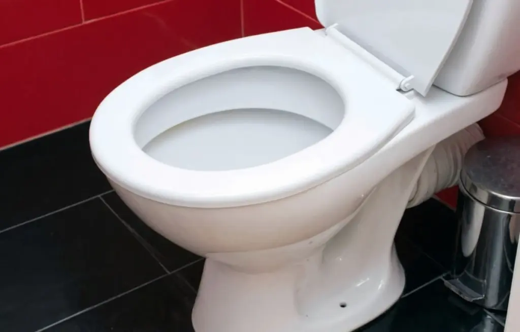 Močový kámen a rez záchodu zmizí do hodiny: Vzpomeňte si na tento rychlý a snadný způsob čištění