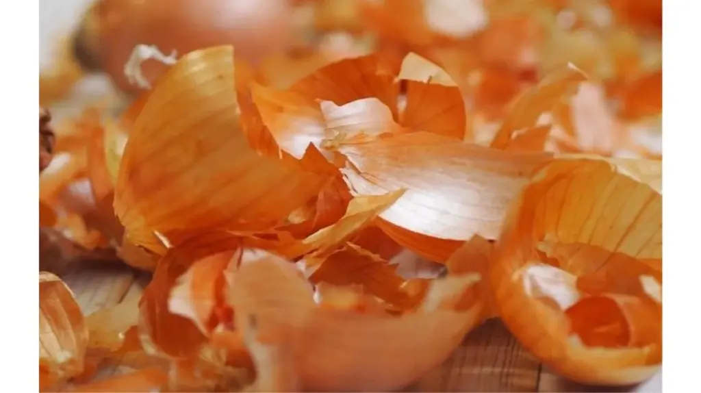 Proč babička nikdy nevyhazovala slupky od cibule: Lékařka jen přikývla, když viděla její recept